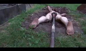 Дівчина, яка ув'язнена шерифа, порно з китаянками