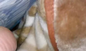 Маленькі діти також знають, як зробити мову порно великі цицьки